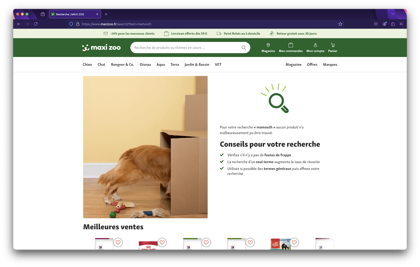 Critère 1 - exercice 1 - Ecran Maxizoo