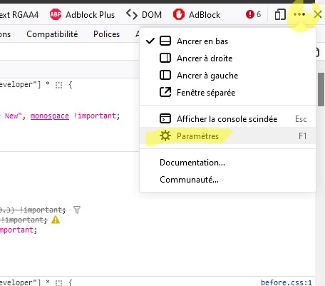 Dans la barre d'outils des outils pour développement, cliquez sur 'Personnaliser les outils de développement et obtenir de l’aide' puis sur 'Paramètres'